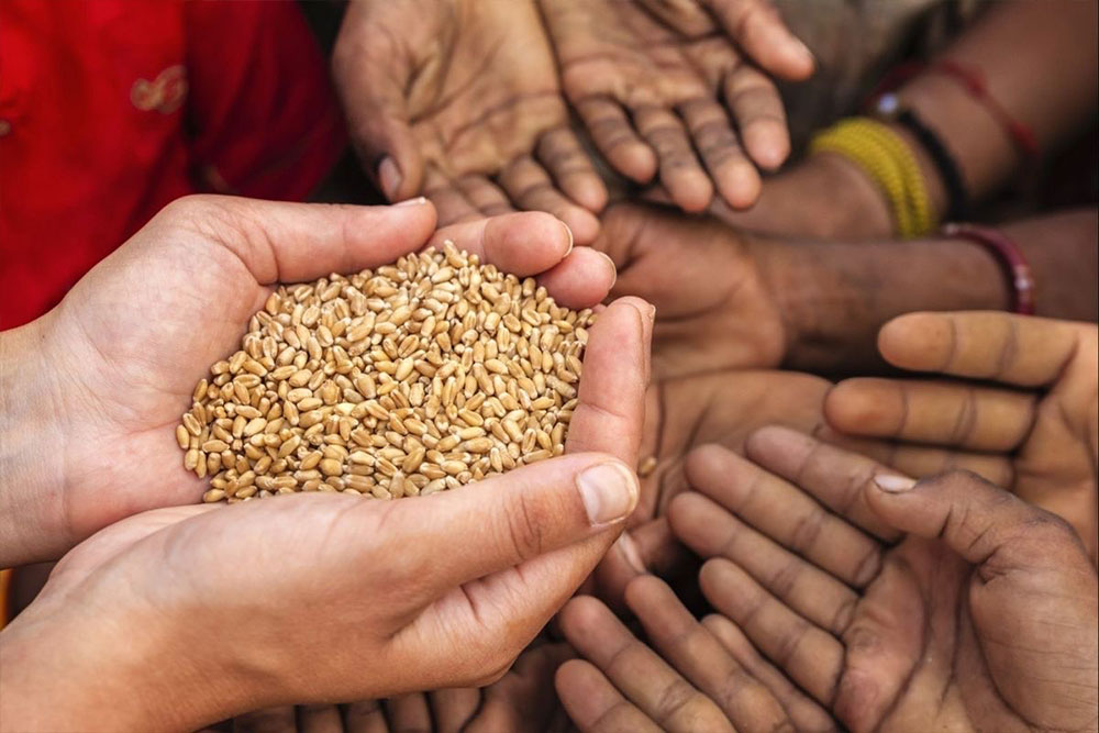 Ann Daan- Food Grain Distribution