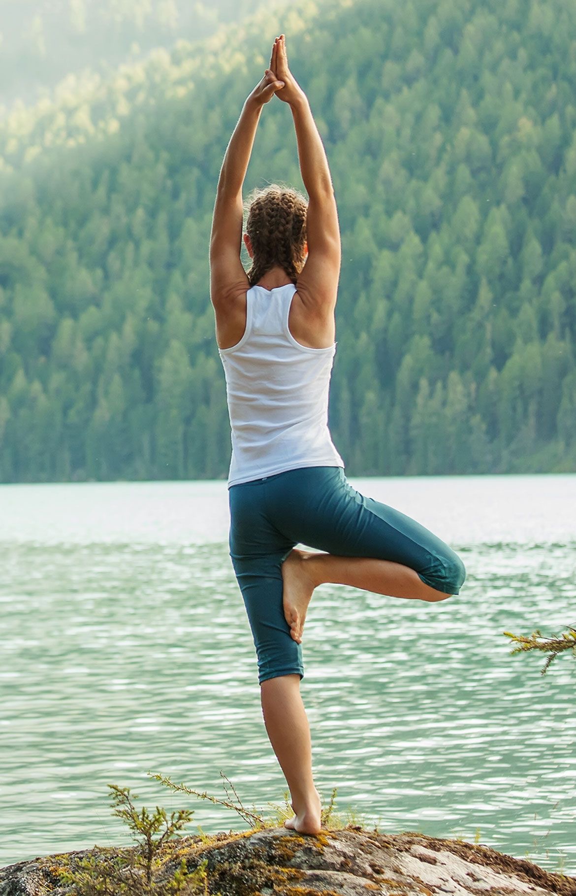 Vrikshasana: The Tree Pose